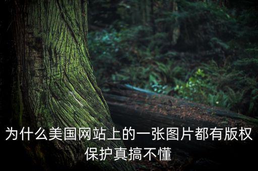 為什么國外重視版權(quán)，為什么美國網(wǎng)站上的一張圖片都有版權(quán)保護真搞不懂