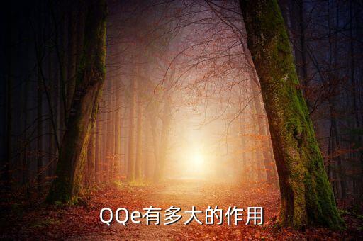 qqe是什么意思，QQe有多大的作用