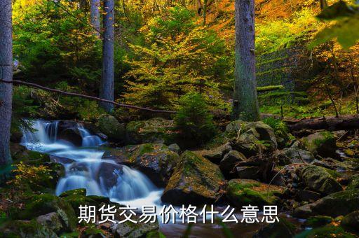 什么是期貨價格，什么是期貨價格
