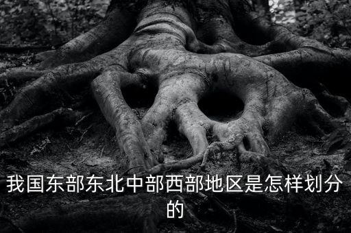 我國(guó)東部東北中部西部地區(qū)是怎樣劃分的