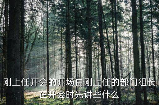 部門會議講什么，剛上任開會的開場白剛上任的部門組長在開會時先講些什么