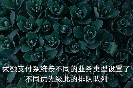 大額支付系統(tǒng)按不同的業(yè)務(wù)類(lèi)型設(shè)置了不同優(yōu)先級(jí)此的排隊(duì)隊(duì)列