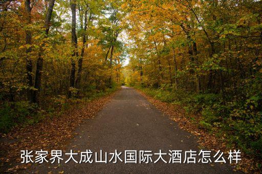 大成山水國際酒店毛致平是個(gè)什么人，大成山水老總毛致平是哪年出生的