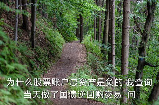 為什么股票賬戶總資產(chǎn)是負(fù)的 我查詢當(dāng)天做了國(guó)債逆回購(gòu)交易  問(wèn)