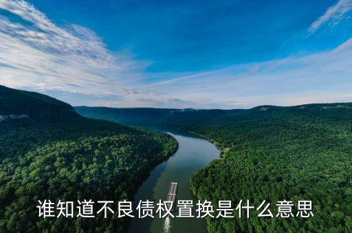 什么是不良資產(chǎn)置換，誰知道不良債權(quán)置換是什么意思
