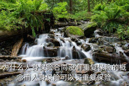 人身保險沒有什么概念，為什么人身保險合同沒有重復(fù)保險的概念而人身保險可以買重復(fù)保險