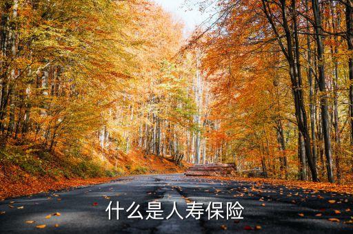 什么叫新型人壽保險，什么是人壽保險