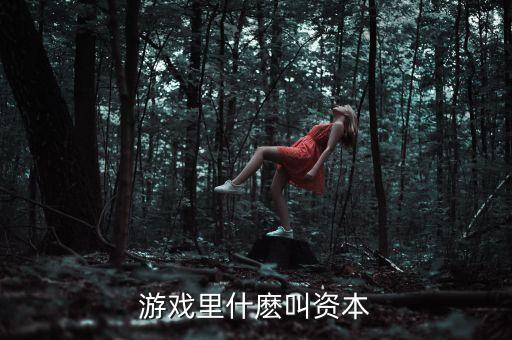 什么叫資本玩家，游戲里什麼叫資本