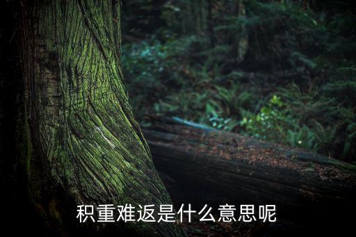 積重難返是什么意思，襀重難反是什么意思