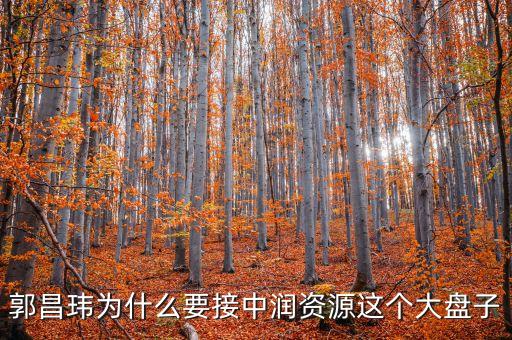 中潤(rùn)資源為什么停牌，000506中潤(rùn)資源停牌多久可以復(fù)牌