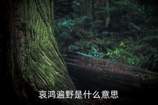 哀嚎遍野是什么意思，哀鴻遍野是什么意思