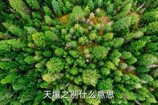 天什么之別，天壤之別什么意思