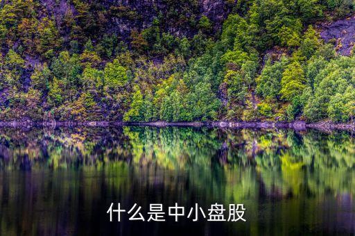 什么是中小盤股