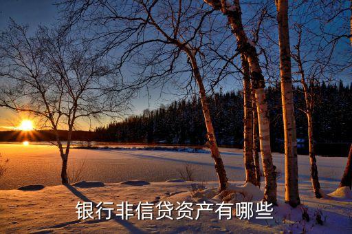 非信貸業(yè)務(wù)是什么，什么是銀行的非信貸資產(chǎn)