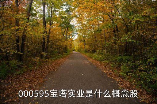 000595寶塔實業(yè)是什么概念股
