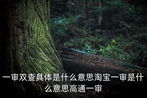 雙審是什么，雙審什么意思