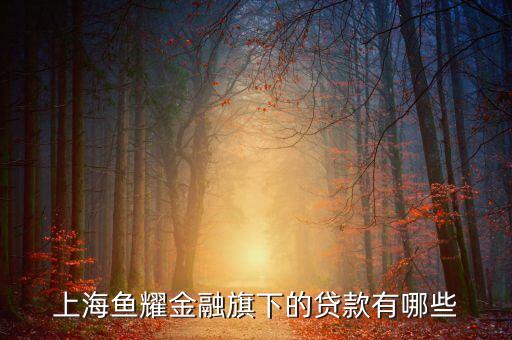 上海融耀金融主要做什么業(yè)務(wù)，上海有哪些主要做金融行業(yè)外包的人力資源公司