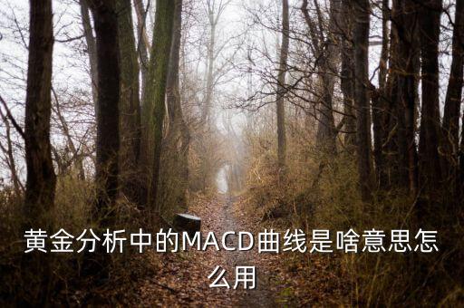黃金分析中的MACD曲線(xiàn)是啥意思怎么用