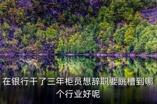 商業(yè)銀行跳槽到什么行業(yè)好，在銀行干了三年柜員想辭職要跳槽到哪個(gè)行業(yè)好呢