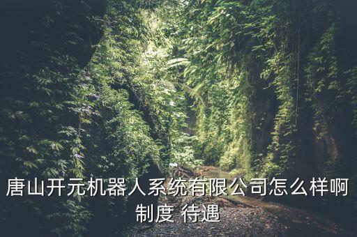 開元儀器是做什么的，長(zhǎng)沙開元儀器有限公司的整機(jī)裝配主要是做什么工作