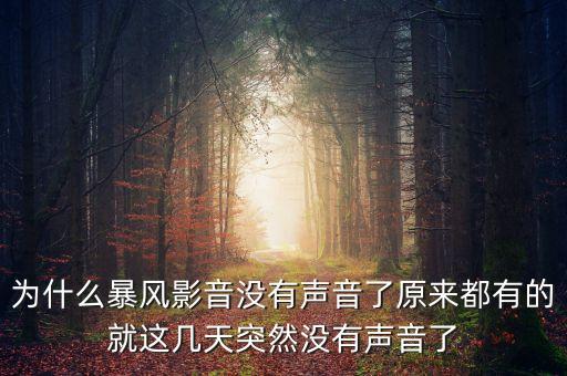 為什么暴風影音沒有何以，為什么暴風影音沒有聲音了原來都有的就這幾天突然沒有聲音了