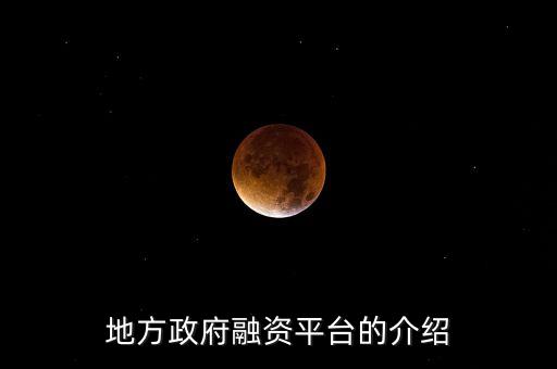 地方政府融資平臺的介紹