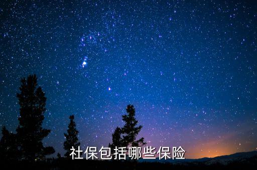 社保保險保些什么，社會保險包括哪些險