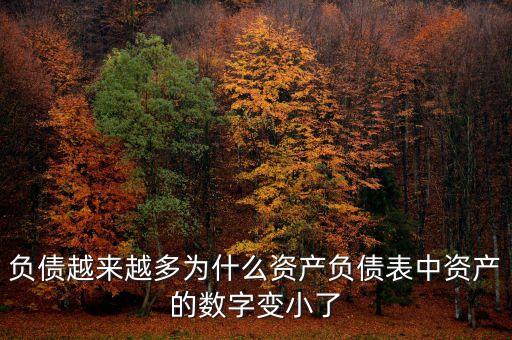 負(fù)債越來(lái)越多為什么資產(chǎn)負(fù)債表中資產(chǎn)的數(shù)字變小了