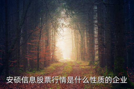 安碩信息股票屬于什么板塊，以下這只股票002355是深圳交易所交易嗎屬于哪個(gè)版塊的股票