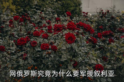 普京為什么出兵敘利亞，俄羅斯以什么理由出兵敘利亞
