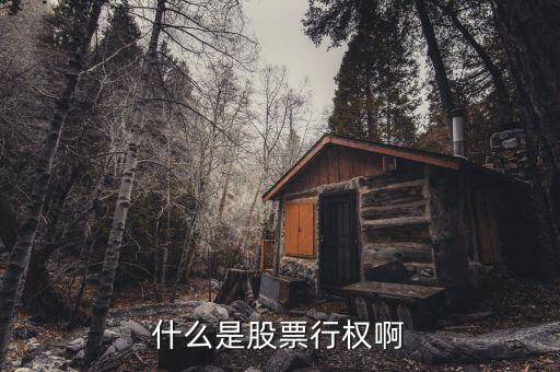 什么是股票施權(quán)價(jià)，什么是企業(yè)員工股票期權(quán)