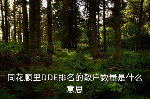 同花順里DDE排名的散戶數量是什么意思