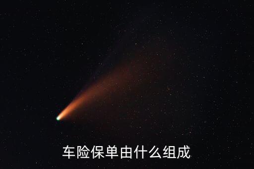 車險保單由什么組成
