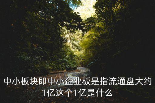 中小板指什么，中小板塊即中小企業(yè)板是指流通盤大約1億這個1億是什么