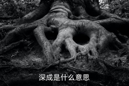 深成指是什么意思，深指和成指什么意思