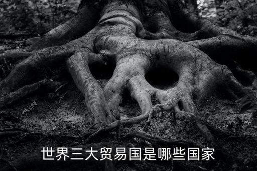 世界三大貿(mào)易國(guó)是哪些國(guó)家