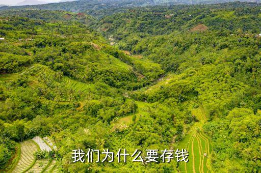 存錢有什么理由，我們?yōu)槭裁匆驽X
