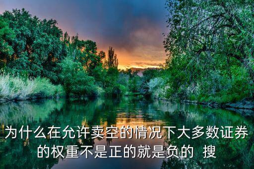 為什么投資組合的權(quán)重是負數(shù)，權(quán)重系數(shù)可以是負數(shù)嗎