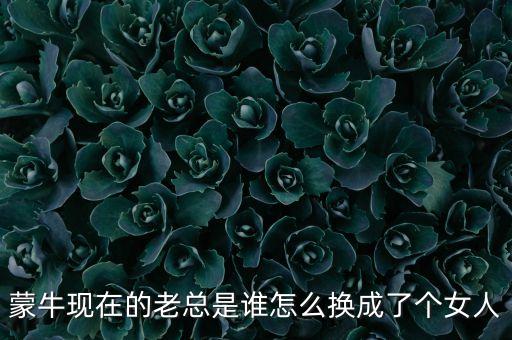 蒙?，F(xiàn)在的老總是誰怎么換成了個女人