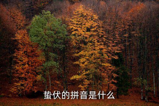 人的蟄伏期是什么，寂寂人定初中的人定是什么時候用天干地支中的回答相當(dāng)