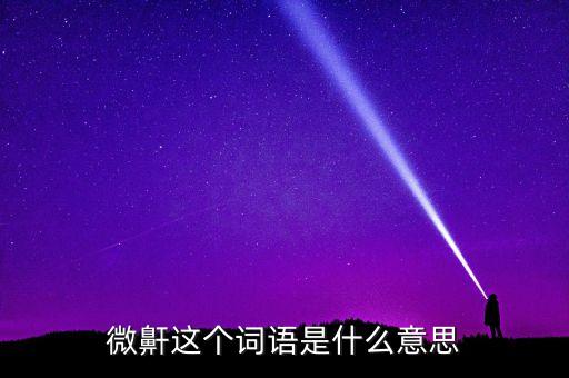 微鼾這個詞語是什么意思