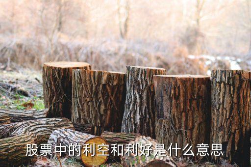 股票利好是什么意思，股票利空利好啥意思多謝