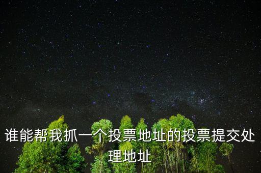 投票提交處理地址是什么，提交投票的問題怎么處理
