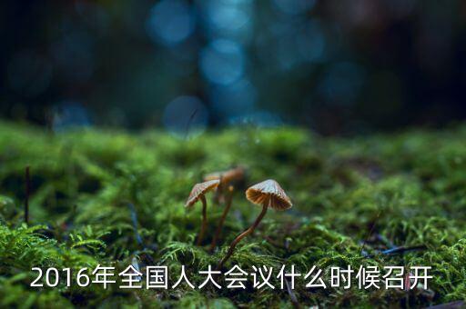 2016年全國(guó)人大會(huì)什么時(shí)候開，中國(guó)16次人大在什么時(shí)間 開的