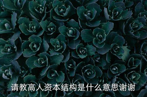 資本結(jié)構(gòu)彈性是什么，資本產(chǎn)出彈性是什么 勞動產(chǎn)出彈性是什么