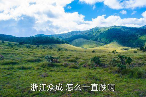 浙江眾成是干什么的，浙江眾成包裝材料股份有限公司的介紹