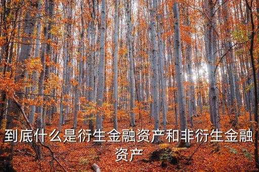 非衍生金融資產(chǎn)什么意思，到底什么是衍生金融資產(chǎn)和非衍生金融資產(chǎn)