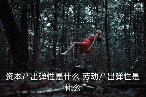資本產(chǎn)出彈性是什么 勞動(dòng)產(chǎn)出彈性是什么