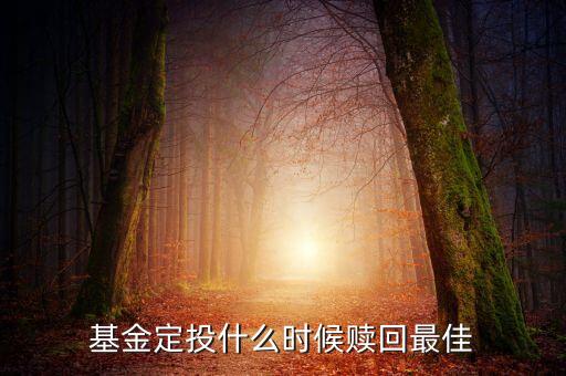 基金定投什么時(shí)候贖回最佳