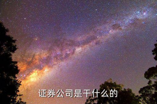 正規(guī)的證券公司是做什么的，證券公司干什么的